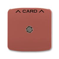 ABB Kryt spínače kartového, s čirým průzorem  3559A-A00700 R2