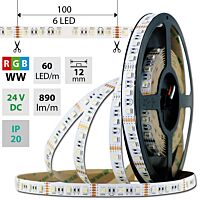 MCLED Pásek LED SMD5050 RGB + WW, 60LED/m, 19,2W/m, 890lm/m, IP20, DC 24V, 12mm, 5m