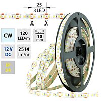 MCLED Pásek LED SMD2835 CW, 120LED/m, 28,8W/m, 2514lm/m, IP54, DC 12V, 10mm, 5m