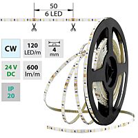 MCLED Pásek LED SMD2216 CW, 120LED/m, 7,2W/m, 600lm/m, IP20, DC 24V, 4mm, 5m