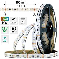 LED pásek SMD5050 RGB + NW, 60LED/m, 19,