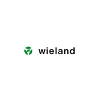 WIELAND Relé R1.100.0224.0 bezpečnostní